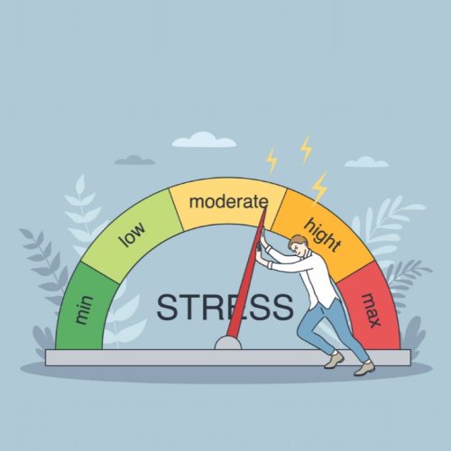 Science behind IP stresser stress tests