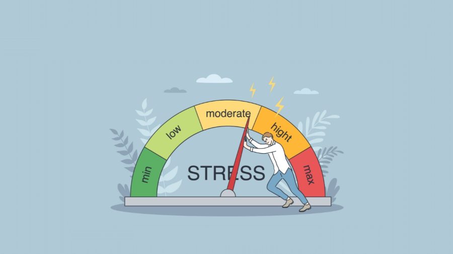 Science behind IP stresser stress tests